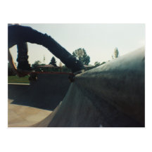 Steeze Postcard