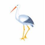 Steffi Stork