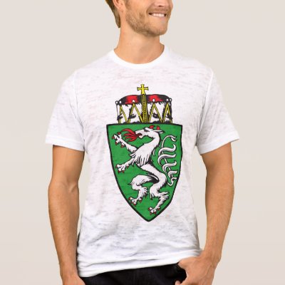 Steiermark, Austria Shirts by bestflag