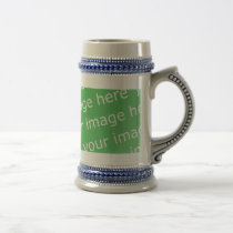 Stein mugs