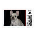 Stella 066 postage