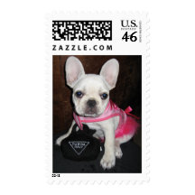 Stella 069 postage stamp