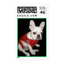 stella 114 postage
