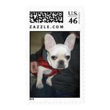 stella 131 stamp