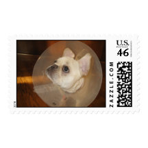 stella 173 stamp