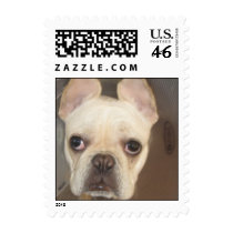 stella 179, stella 179 postage