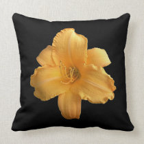 'Stella D'Oro' pillows