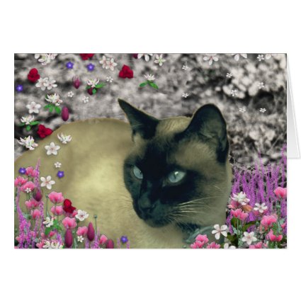 Stella in Flowers I – Chocolate Cream Siamese Cat Greeting Cards