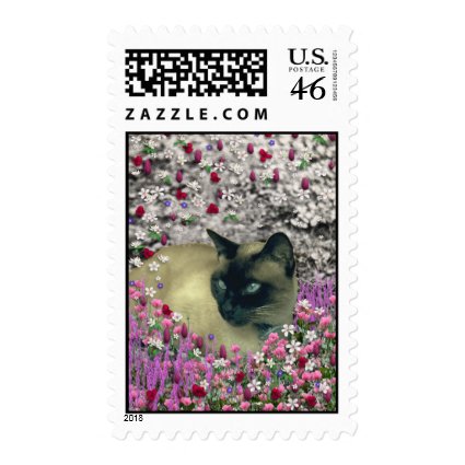 Stella in Flowers I – Chocolate Cream Siamese Cat Postage Stamp