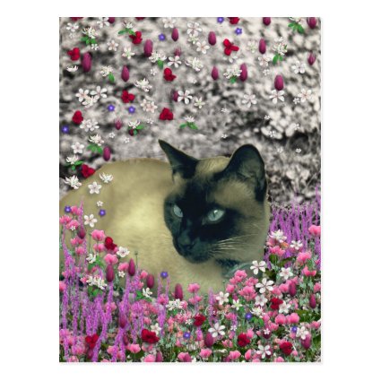 Stella in Flowers I – Chocolate Cream Siamese Cat Postcards