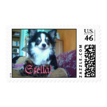 Stella, Stella! Stamp
