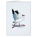 Stella Stork Cards