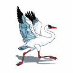Stella Stork