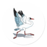 Stella Stork