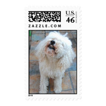 Stella the Wonder Poodle Stamp