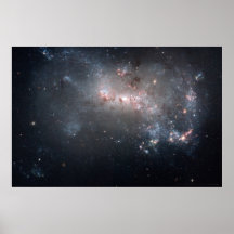 Stellar Fireworks Ablaze in Galaxy NGC 4449 30x20 Print