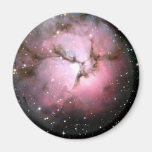 Stellar incubators fridge magnet