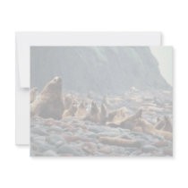 Stellar sea lions on Buldir Island Personalized Invitation