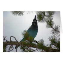 Stellars Jay or Chara Crestada - Customized cards