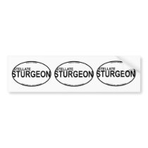 Stellate/Starry Sturgeon Euro Stickers Bumper Sticker