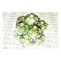Stellated Dodecahedron Fractal posters