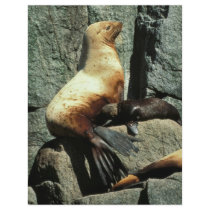 Steller Sea Lion and Pup Full Color Flyer