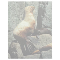Steller Sea Lion and Pup Personalized Letterhead