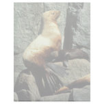 Steller Sea Lion and Pup Personalized Letterhead
