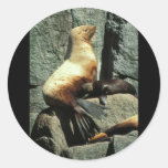 Steller Sea Lion and Pup Round Stickers