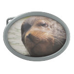 Steller sea Lion Belt buckle