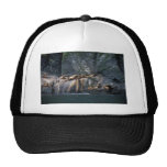 Steller Sea Lion Haulout in the Aleutian Islands Mesh Hats