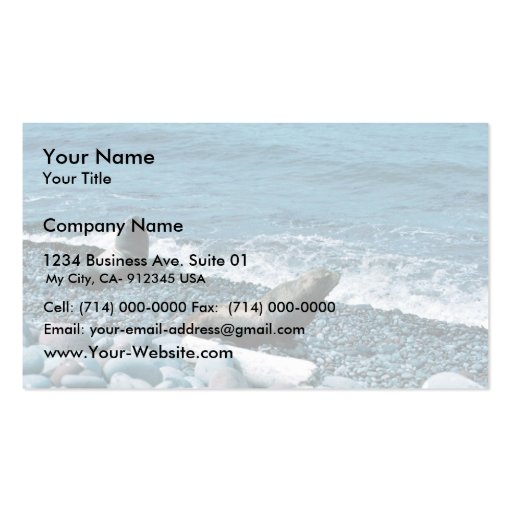 Steller Sea Lions Business Cards