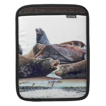 Steller Sea Lions iPad Sleeve