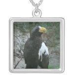 Stellers Eagle Necklace necklaces