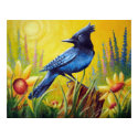 Steller's Jay posters by dgpaulart Steller's Jay posters