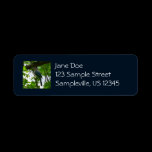 Steller's Jay Return Address Label