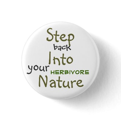 Step Into Nature Buttons by allinharmony