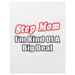 Step Mom...Big Deal flyers