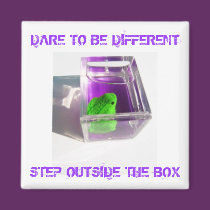 Step Outside magnets