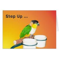 Step Up Birthday cards