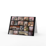 Steph Reptile Collage Black cards
