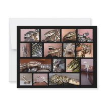 Steph Reptile Collage Black invitations