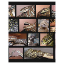 Steph Reptile Collage Black letterhead