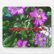 Stephanie's Desk Mousepads