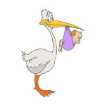 Stephen Stork