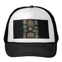 Stephoidea Trucker Hat