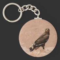 Steppe Eagle, Aquila nipalensis, Steppenadler keychains