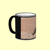 Steppe Eagle, Aquila nipalensis, Steppenadler mugs