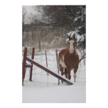Stepper In The Snow Custom Stationery