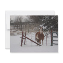 Stepper In The Snow Personalized Invites